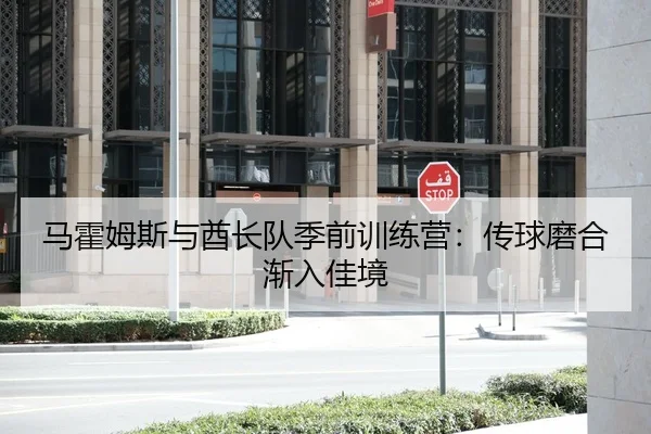 马霍姆斯与酋长队季前训练营：传球磨合渐入佳境