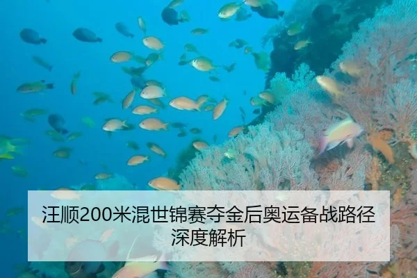 汪顺200米混世锦赛夺金后奥运备战路径深度解析