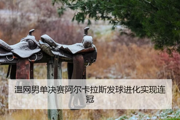 wen-wang-nan-dan-jue-sai-a-er-ka-la-si-fa-qiu-jin-hua-shi-xian-lian-guan-2-864.jpg