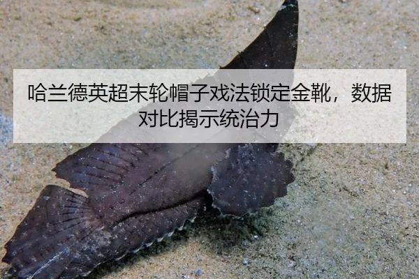 哈兰德英超末轮帽子戏法锁定金靴，数据对比揭示统治力